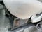 2025 Ford Econoline Cutaway E-450 DRW