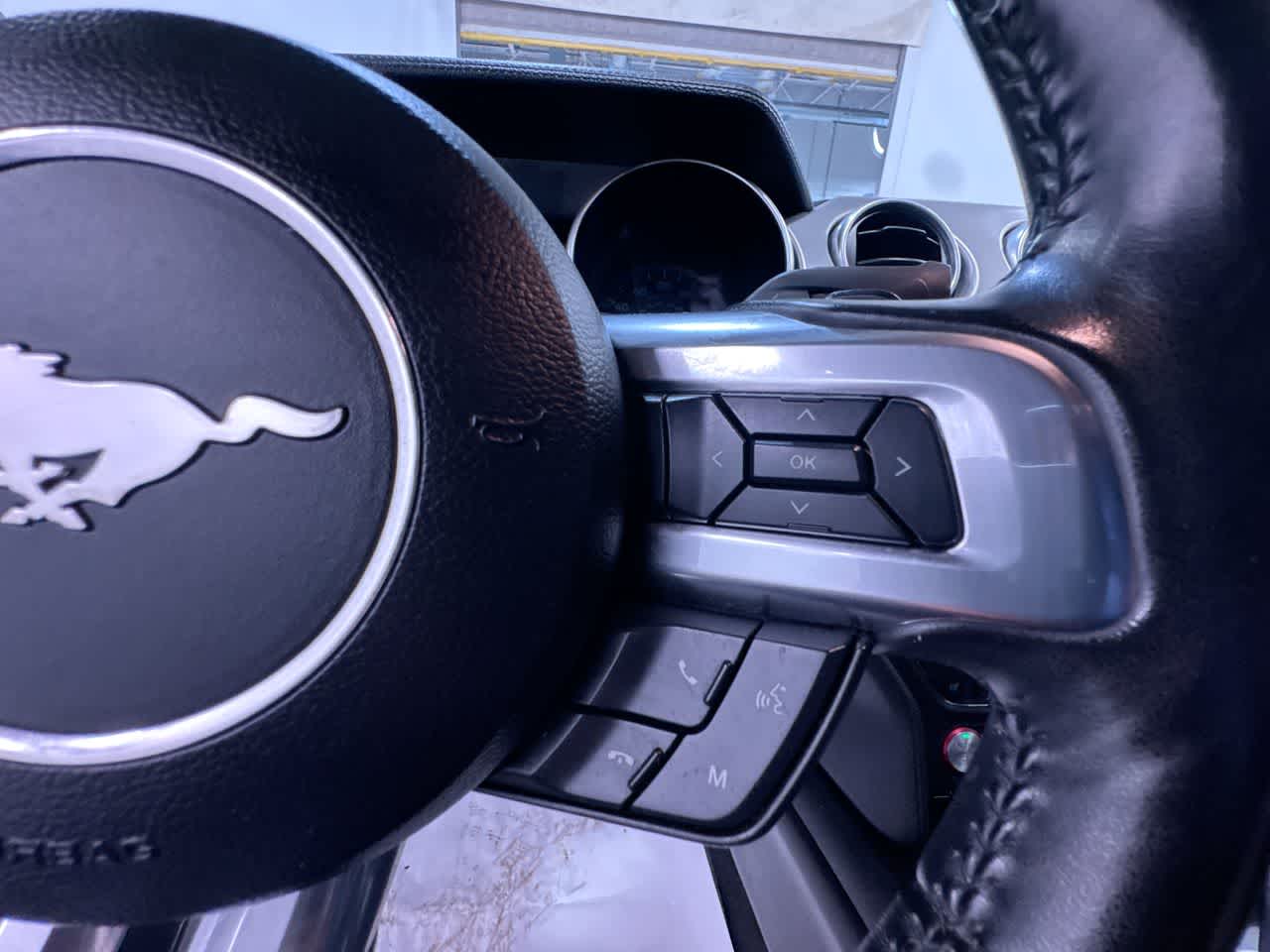 2019 Ford Mustang EcoBoost